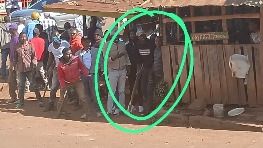 WhatsApp Image 2025-10-11 at 8.24.13 PM