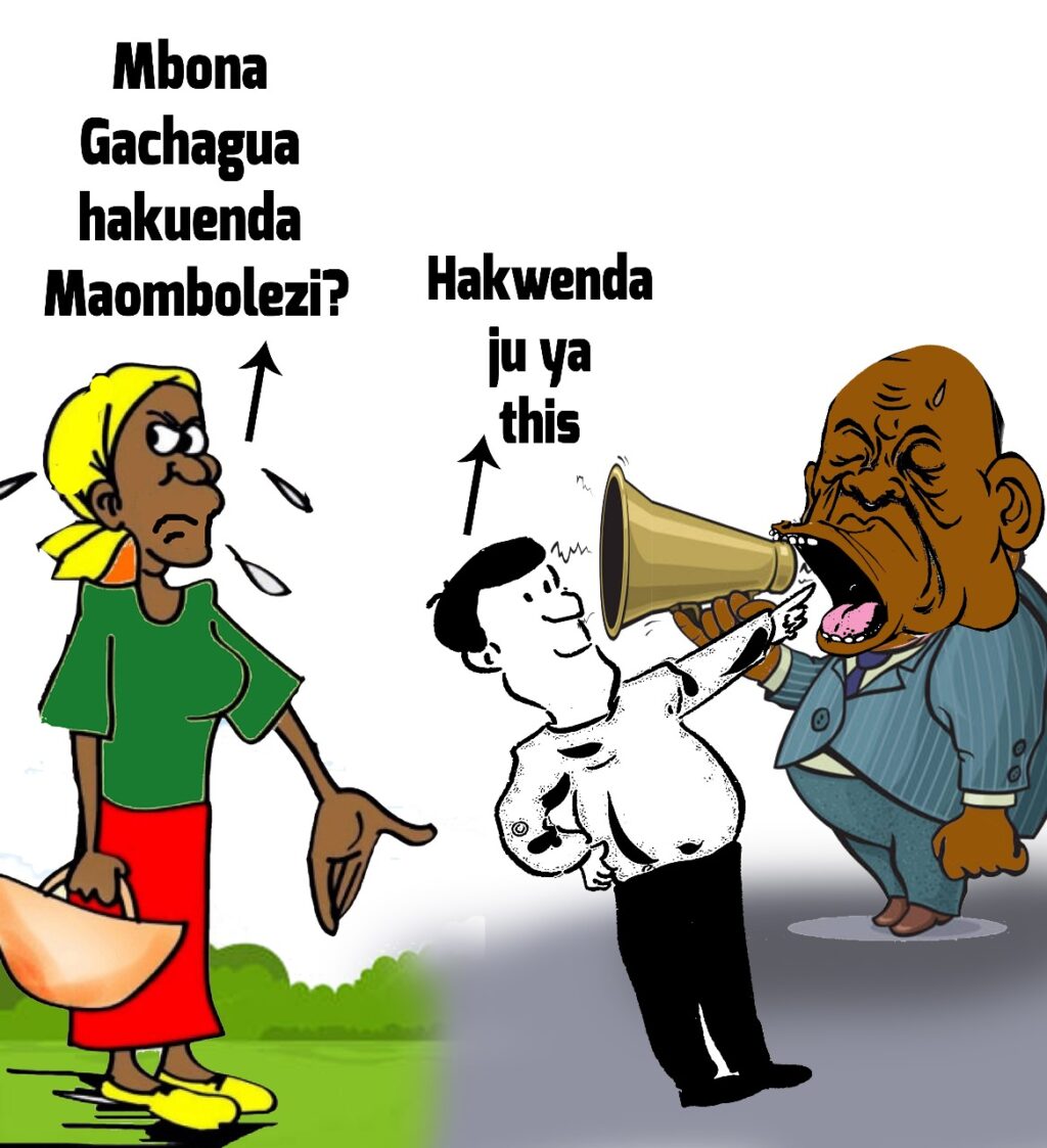 WhatsApp Image 2025-10-17 at 8.50.23 PM