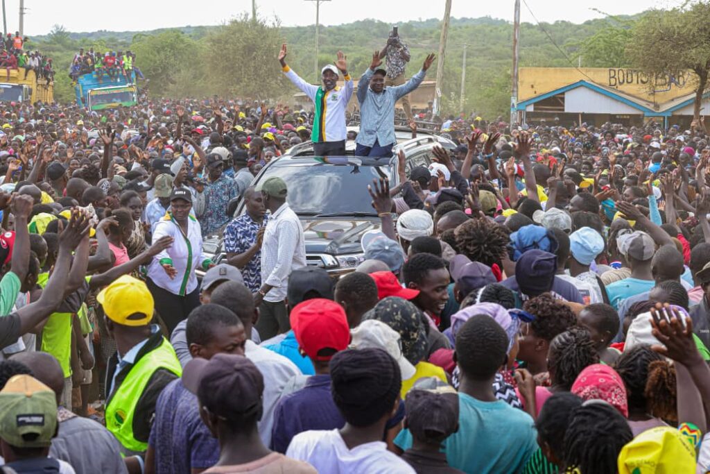 880b274b-f696-4709-baaf-dd68d25d2c51