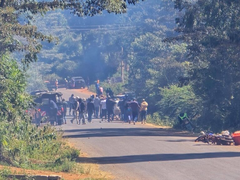 617730357_1420807229834202_3959914055438567817_n