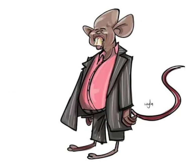 WhatsApp Image 2026-01-12 at 1.35.57 PM