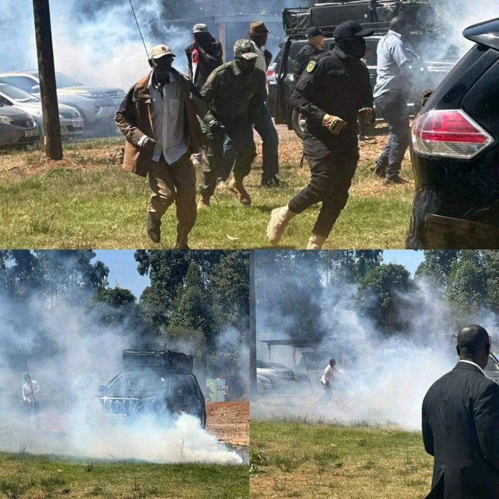 WhatsApp Image 2026-01-25 at 12.13.05 PM